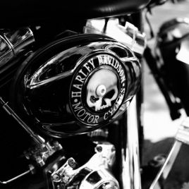 FLP_GP_MCHH_150718_033