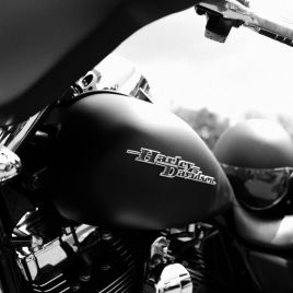 FLP_GP_MCHH_150718_341