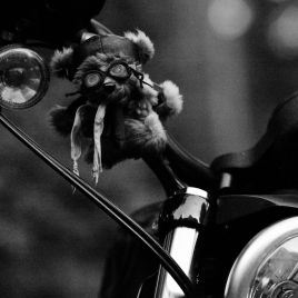 FLP_GP_MCHH_150718_543