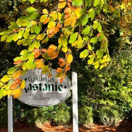 54550415-074e-41a1-b61d-78f69f19e51d