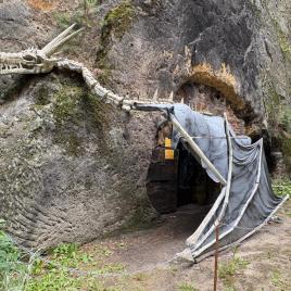 9cb45374-feea-48ee-8180-40720ff8a575