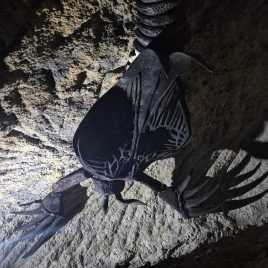 f4ed9cf9-3fe9-4e87-9c59-ebebb643e885