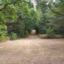 96691afe-045d-4652-82ad-236eeee26565