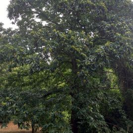 97f4d151-47f3-426a-a57d-dbde051f71bf