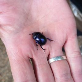 b6dc0fef-e5df-4464-a2d1-148d661c3dbc