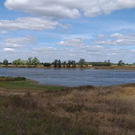 c5054c77-dea6-409c-a576-84b8a5bd4fa8