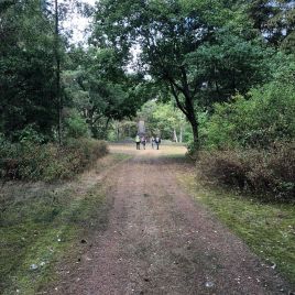 f78a76e3-9c52-4834-98cc-e29f7a4c1fce