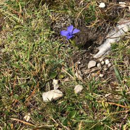 d5d7d301-c391-4cc3-9b66-7c7487cd7434