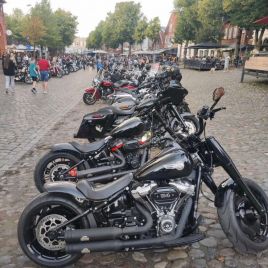 6ecd2b52-0592-49a5-a060-47045eabea93