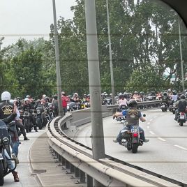 ffcfb54f-f41b-4a9b-8555-2b17ca048958