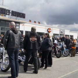 Harley-Trophy 15 042