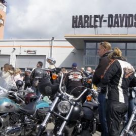 Harley-Trophy 15 043