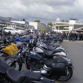 Harley-Trophy 15 051