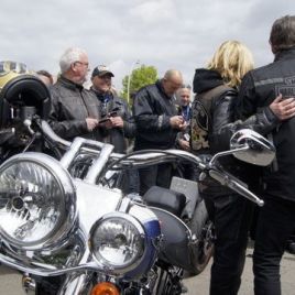 Harley-Trophy 15 056