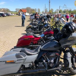 d2bdb833-7e5a-48bc-8e11-cb0c1ec7f008