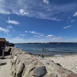 95339dad-228c-45d4-89a6-7684acffaf0c