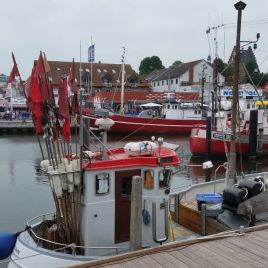 b8022eb5-7b91-45a3-8f61-ef3631e03862