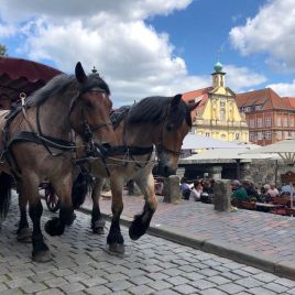 92f77d3b-ec8e-4530-89db-a75f93f473a8