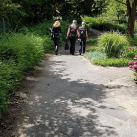 e889b02b-6ca5-4885-822c-0bb008f34dd7