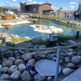 2022-05-22_14-31-46_343