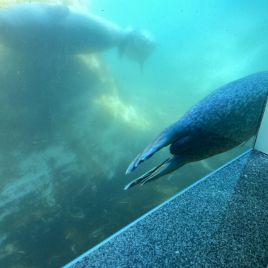 2022-05-22_14-33-35_461