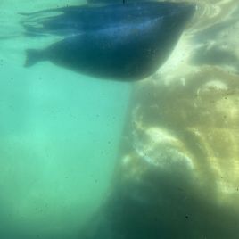 2022-05-22_14-34-12_417