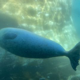 2022-05-22_14-34-19_022