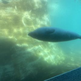 2022-05-22_14-34-33_474