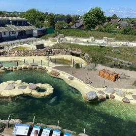 2022-05-22_14-37-22_853