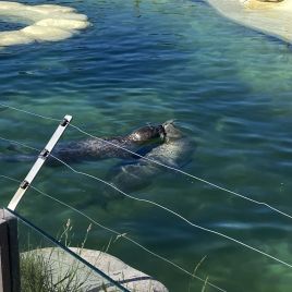 2022-05-22_14-39-12_104