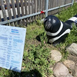 2022-05-22_14-40-43_378