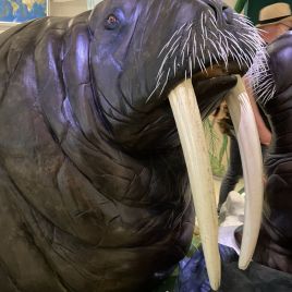 2022-05-22_14-41-53_743