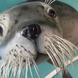 2022-05-22_14-42-50_418